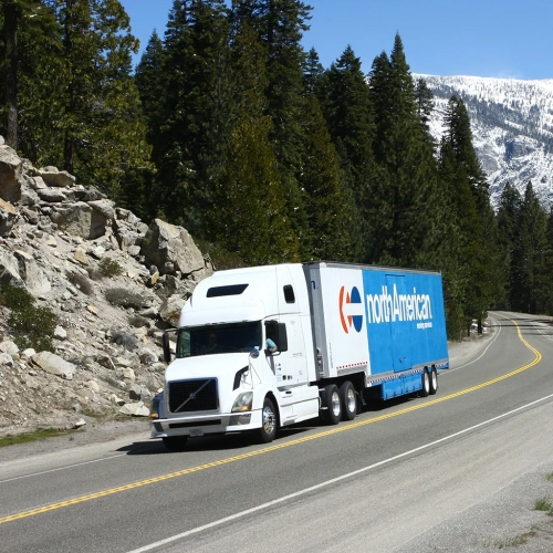 Baymeadows Movers company media